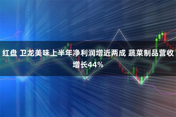 红盘 卫龙美味上半年净利润增近两成 蔬菜制品营收增长44%