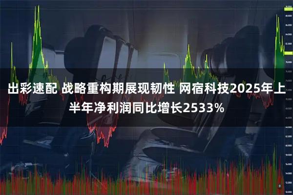 出彩速配 战略重构期展现韧性 网宿科技2025年上半年净利润同比增长2533%