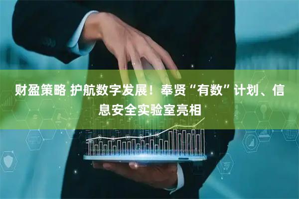 财盈策略 护航数字发展！奉贤“有数”计划、信息安全实验室亮相